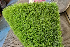 Small Amount of Artificial Turf