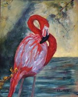 Flamingo Oil Available 