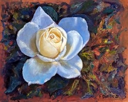 Beautiful Oil Painting - White Rose