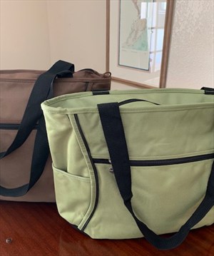 Destinations American Identity Canvas Laptop Tote