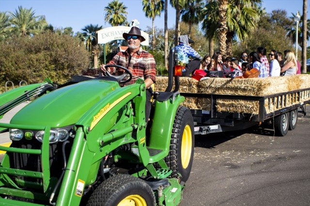 Harvest Festival at Enchanted Island